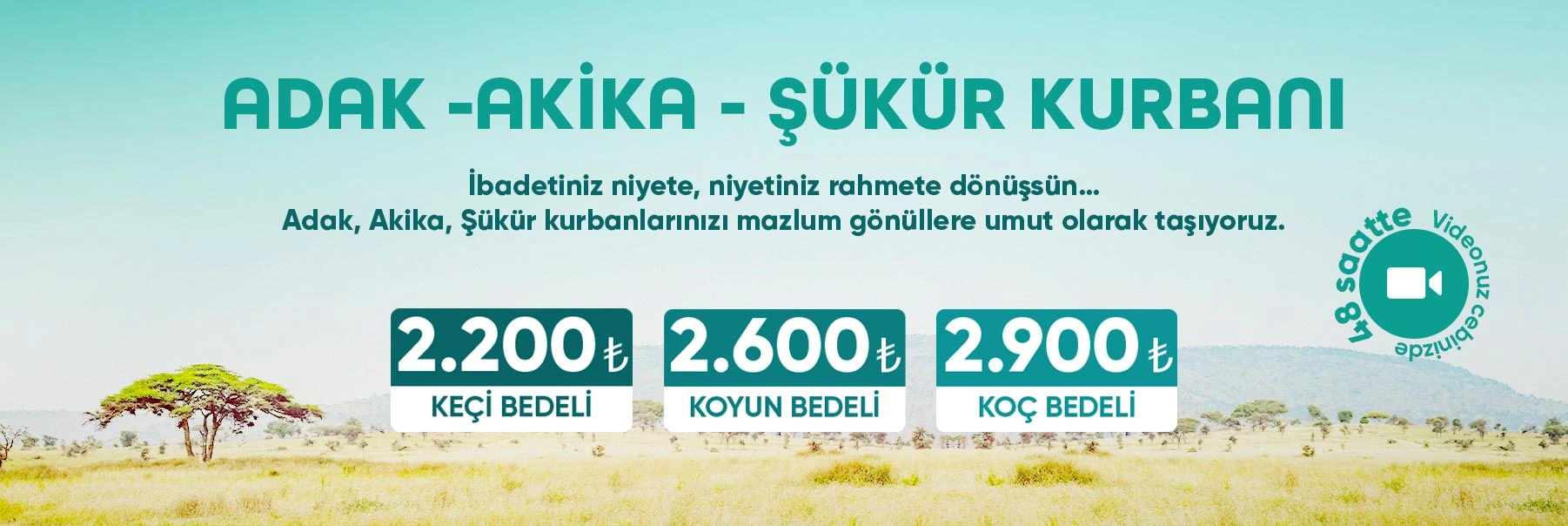 Kurban Bağışı